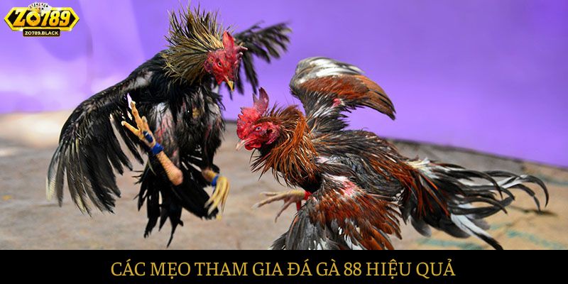 Các mẹo tham gia hiệu quả