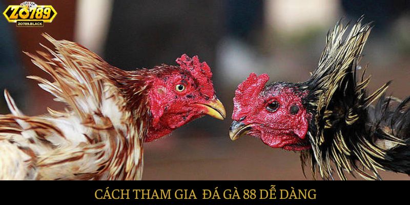 Cách tham gia dễ dàng